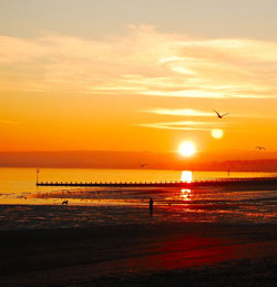 Sunset. Morguefile.com photo