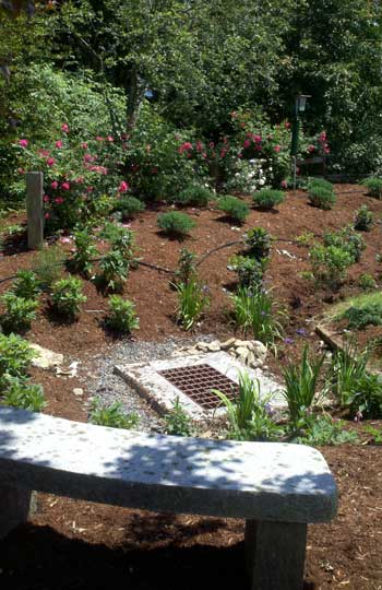 Z Rock & Rain Garden